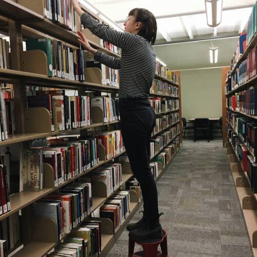 Autumn Shelving Books